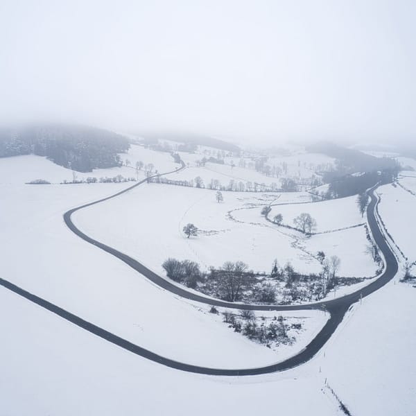 A la convergence de Joux, Violet et Saint-Cyr-de-Valorges Le silence est total, à peine troublé par le bruissement du vent dans les branches des arbres dénudés. Le soleil, timide derrière un voile de nuages, diffuse une lumière douce et bleutée qui donne au paysage une atmosphère irréelle. Seul les routes découpes de paysage d'un blanc immaculé