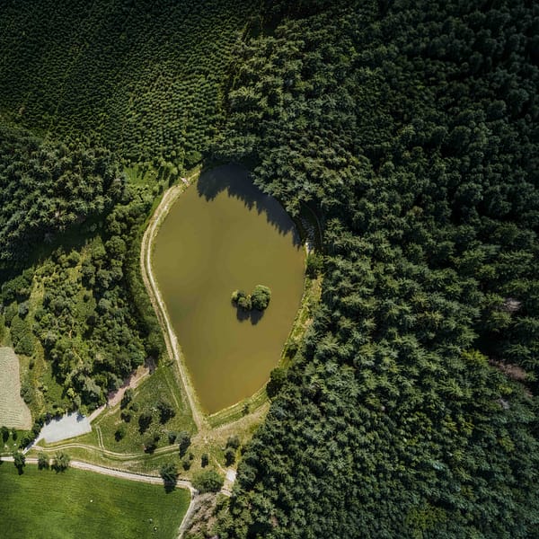 Air de loisir de Saint Cyr de Valorges Printemps loire