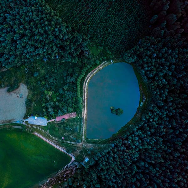 Air de loisir de saint cyr de valorges loire de nuit